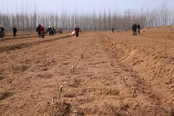 农村土地纠纷最有利的证据 农村土地纠纷怎么处理 农村土地纠纷找哪个部门解决