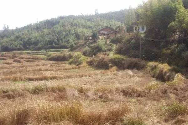 农村土地纠纷最有利的证据 农村土地纠纷怎么处理 农村土地纠纷找哪个部门解决