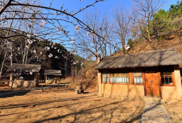 2020年农村宅基地新政策 2020年宅基地可以流转了吗 2020年宅基地可以盖房子吗
