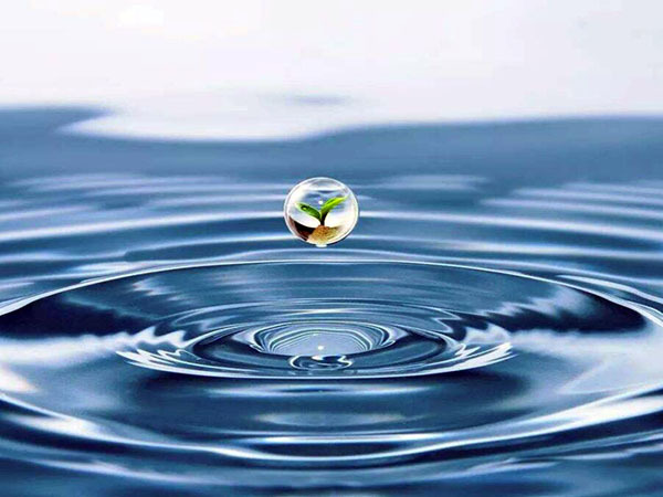 水费一个月大概多少钱