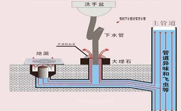 地漏改装 再也不怕反水啦