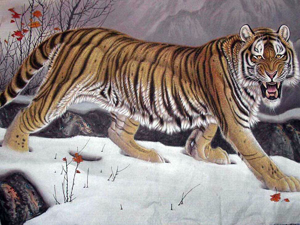 家里挂老虎画有什么讲究