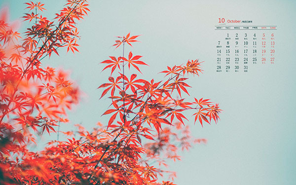 2019年10月开业黄道吉日