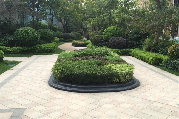小区绿化种植哪些植物
