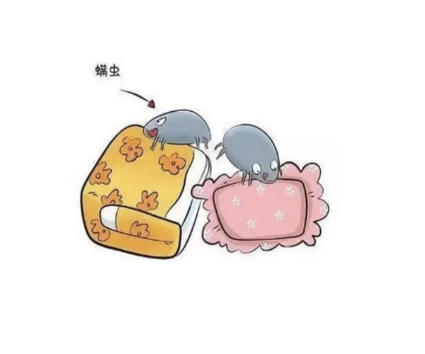家中除虫