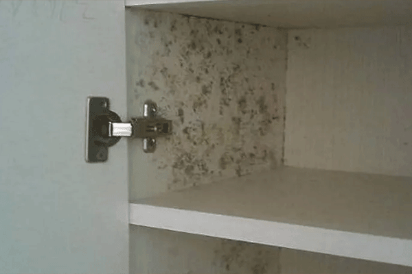 衣柜该怎么保养