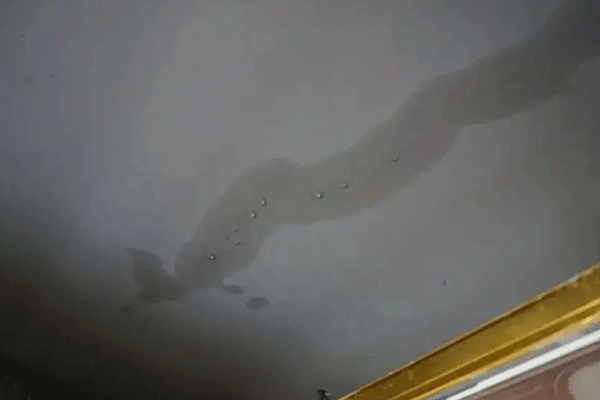 房子漏水应该怎样补救