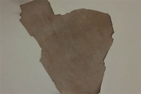 墙面受潮掉皮怎么处理