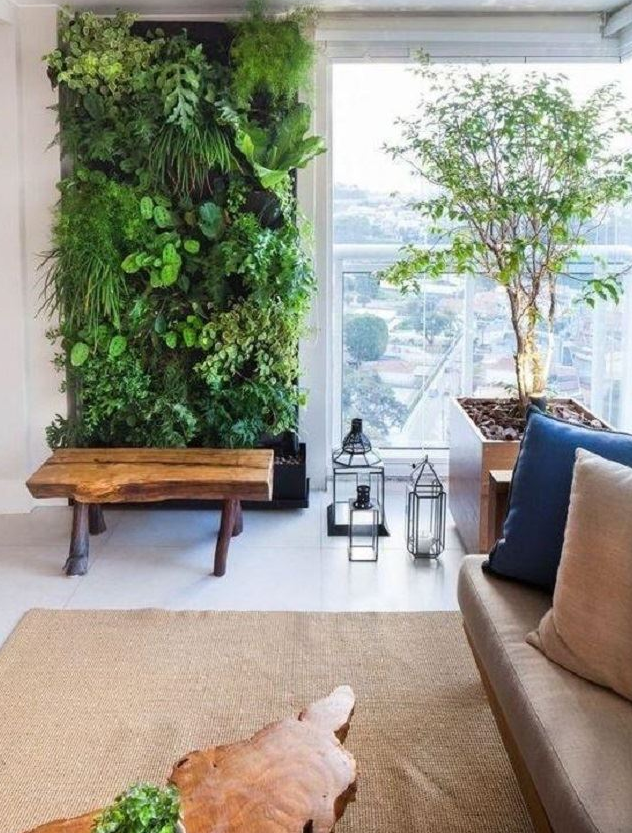 自贡家装怎么放置绿植让家里充满生命力呢？