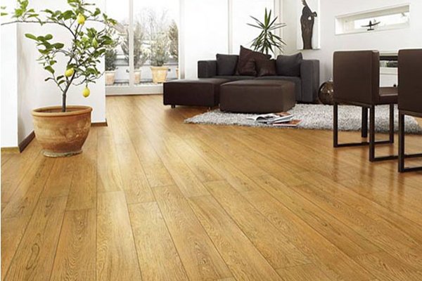木地板要怎么清洁最干净 木地板清洁小窍门 木地板清洁用什么拖把