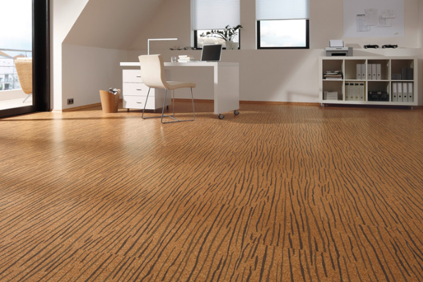木地板要怎么清洁最干净 木地板清洁小窍门 木地板清洁用什么拖把