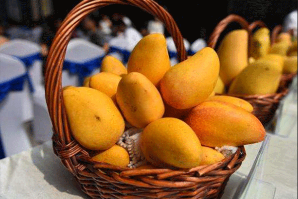 芒果怎样保存可以放得更久 芒果可以放进冰箱吗